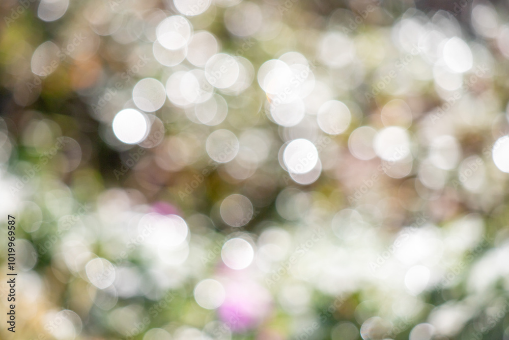 A blurry image of a green background with pink flowers A blurry image of a green background with pink flowers