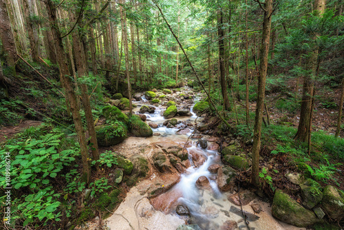 Small stream near Nakasendo Trail photo