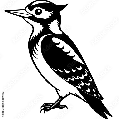 Woodpecker bird design vector illustration, Creative Woodpecker bird logo design concept template, symbols icons
 photo