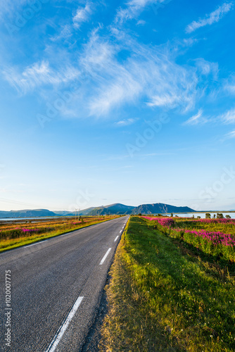 Long straight road leading into horizon in summer, Andoya, Norway. Cycling, bikepacking, roadtrip concept 