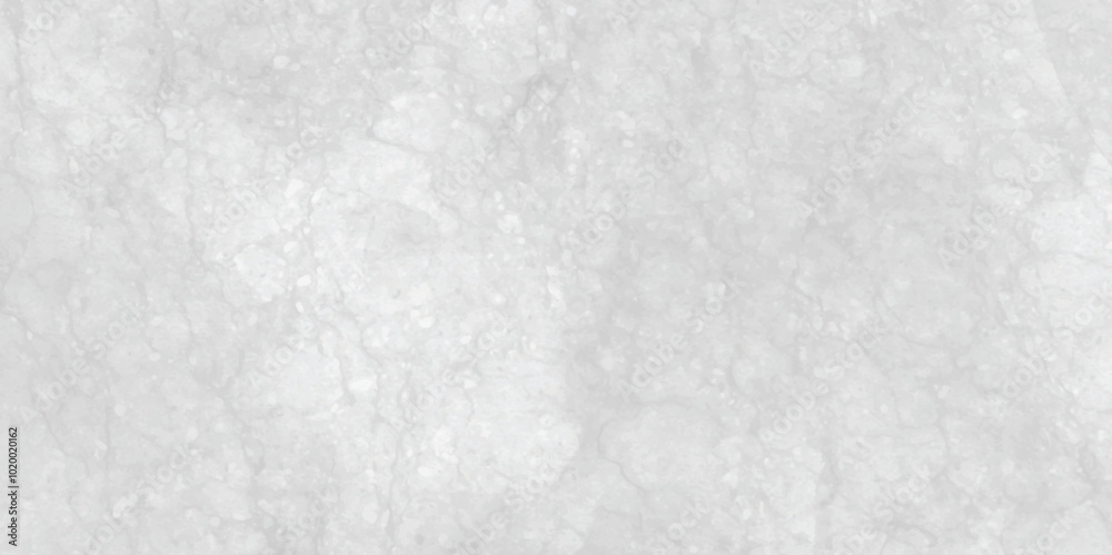 Abstract white grunge cement or concrete painted wall texture and white stone wall background in vintage style for graphic design white plaster architectural wall for rustic concept. paper texture . Abstract white grunge cement or concrete painted wall texture and white stone wall background in vintage style for graphic design white plaster architectural wall for rustic concept. paper texture .