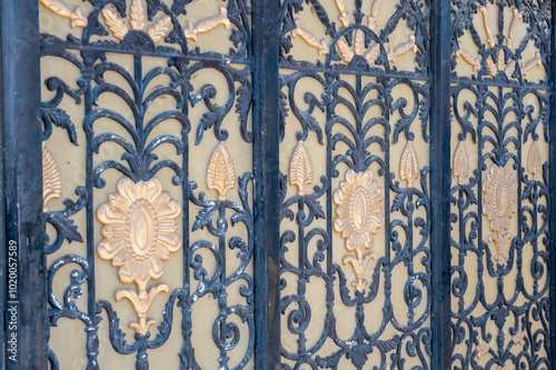 Steel Decorated Gate Of Residential Zone In Arabian Style In Salalah, Oman photo