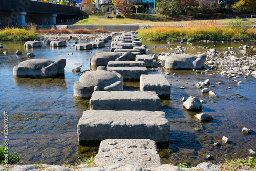 京都　鴨川の飛び石