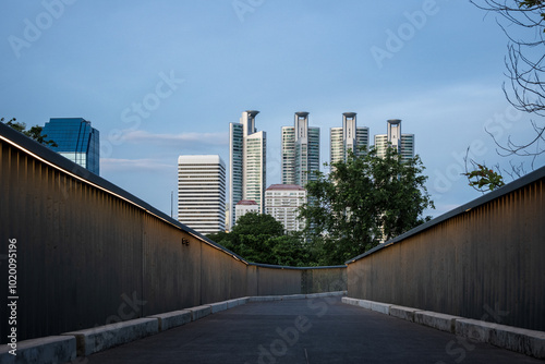 skywalk in Benjakitti forest park, popular destination for outdoor recreation and exercise in Bangkok, natural green park in city photo