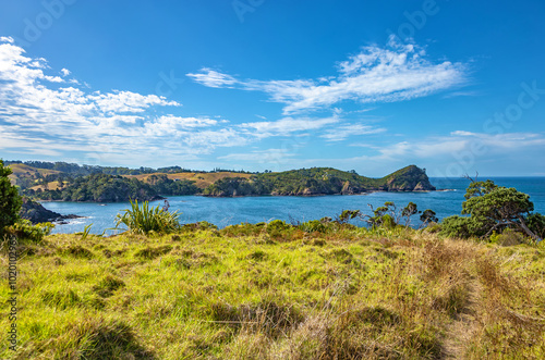 Rocky Bay, Tutukaka, North Island, New Zealand, Oceania. photo