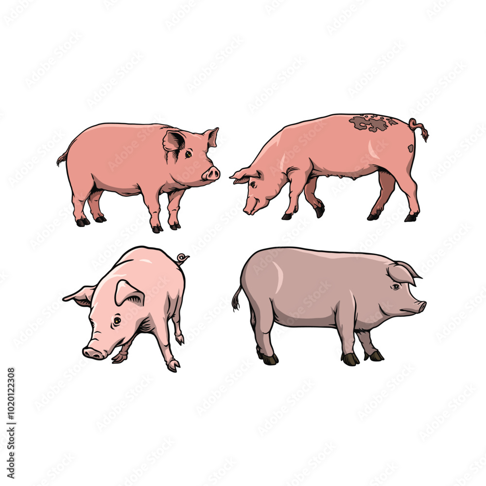 Fototapeta premium set of pigs animal in various poses in hand drawn style vector Illustration