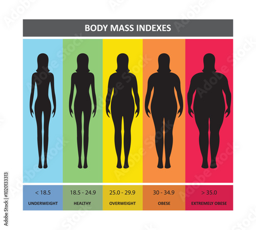 body mass index women