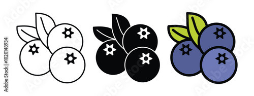  blueberry icon set