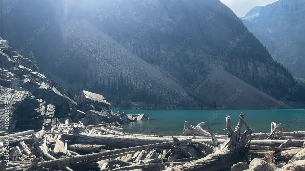 Static shot of rock and fallen logs on shores of Moraine Lake, Banff, Canada