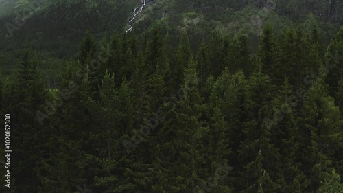 Aerial ascend reveals Hydnefossen waterfall in Hemsedal Norway behind evergreen trees photo