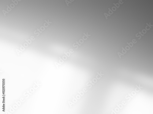 Shadow light summer background sunight overlay nature on room cement wall floor abstract blur muckup effect grey minimal platform for presentation product backdrop, wallpaper template display.