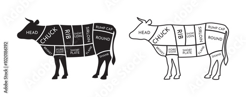 cut of beef meat diagram