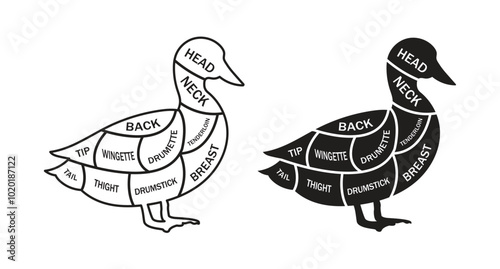 cut of pig meat diagram