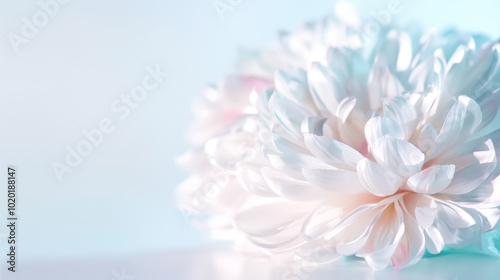 A cluster of soft white flowers emerges against a gentle blue backdrop, creating a calming atmosphere that invites peace and contemplation