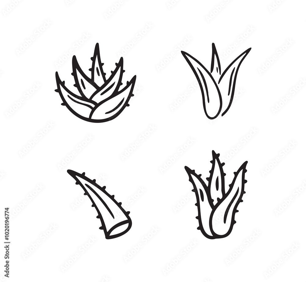 Hand drawn doodle aloe vera outline icon Hand drawn doodle aloe vera outline icon