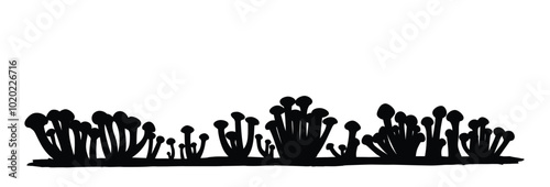 The silhouette of forest tree mushrooms.
