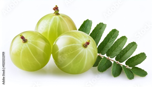 Fresh Indian Gooseberries with Green Leaves and Slices Isolated on White Background