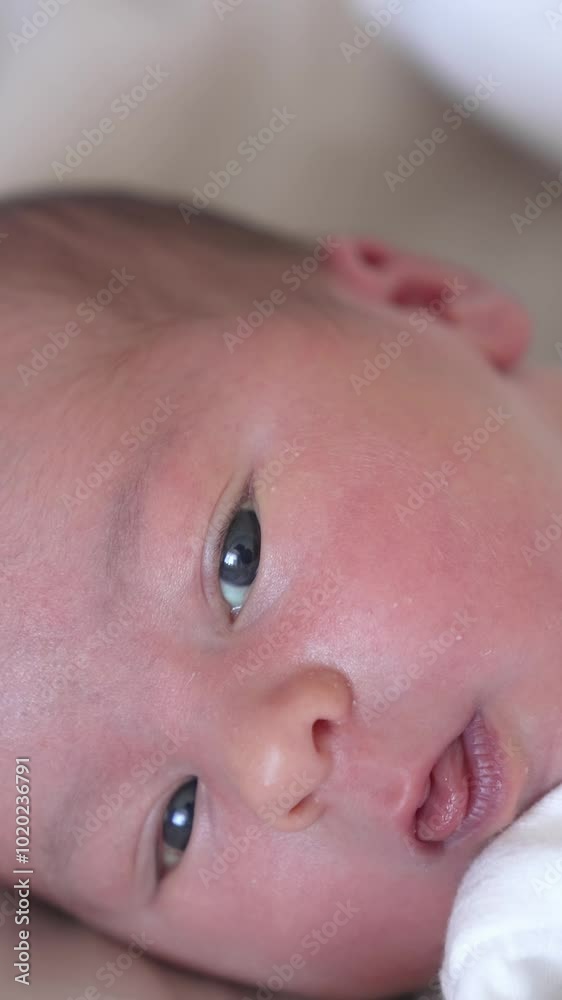 Face of adorable newborn baby. Portrait of healthy cute infant child boy on the bed at home. Happy family relationship and newborn baby. Close-up Vertical video Face of adorable newborn baby. Portrait of healthy cute infant child boy on the bed at home. Happy family relationship and newborn baby. Close-up Vertical video