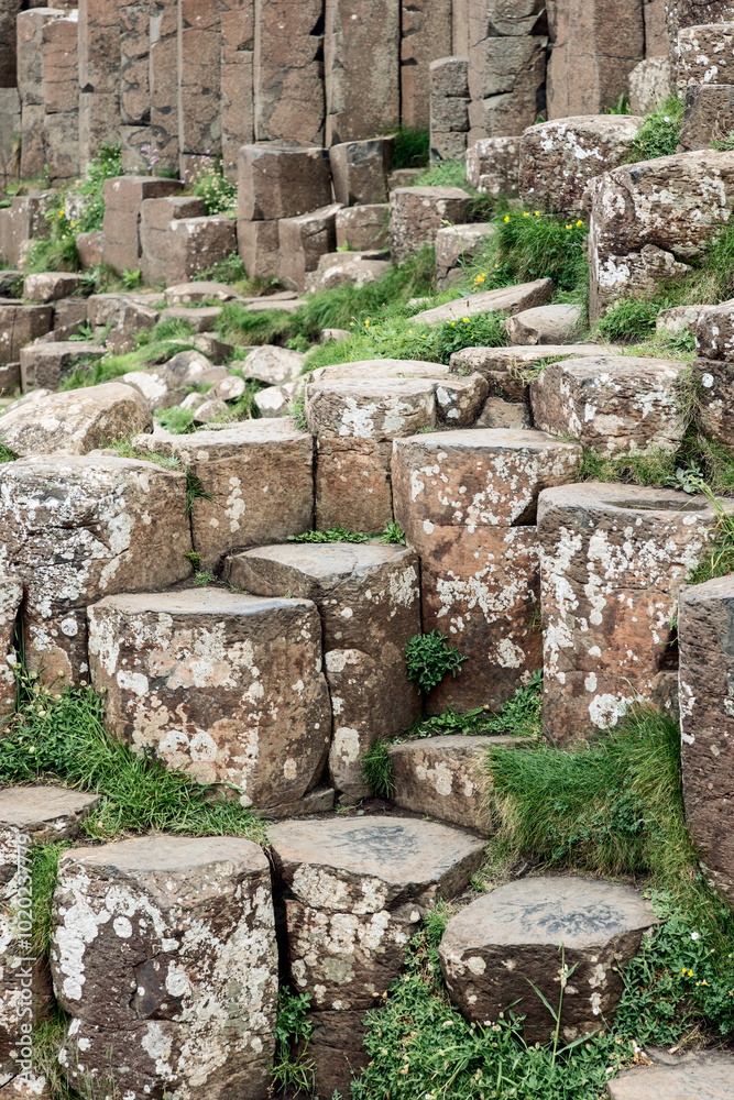 Vertical view of hexagonal basalt columns at Giant Causeway, Northern Ireland, featuring weathered stones and green grass growing between them Vertical view of hexagonal basalt columns at Giant Causeway, Northern Ireland, featuring weathered stones and green grass growing between them