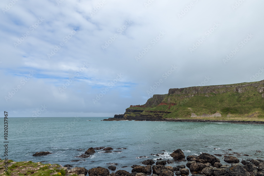 Obraz premium Coastal view of Giant Causeway, Northern Ireland, showing rugged basalt rocks along the shoreline, with green cliffs and the calm Atlantic Ocean under a cloudy sky