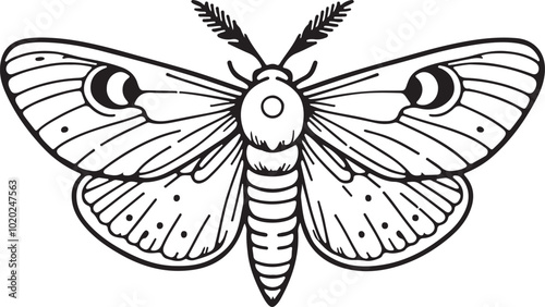 Wax Moth Bug simple outline vector illustration line art