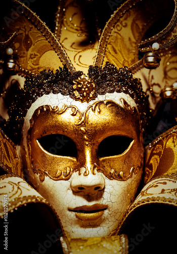 Colour Venetian Mask