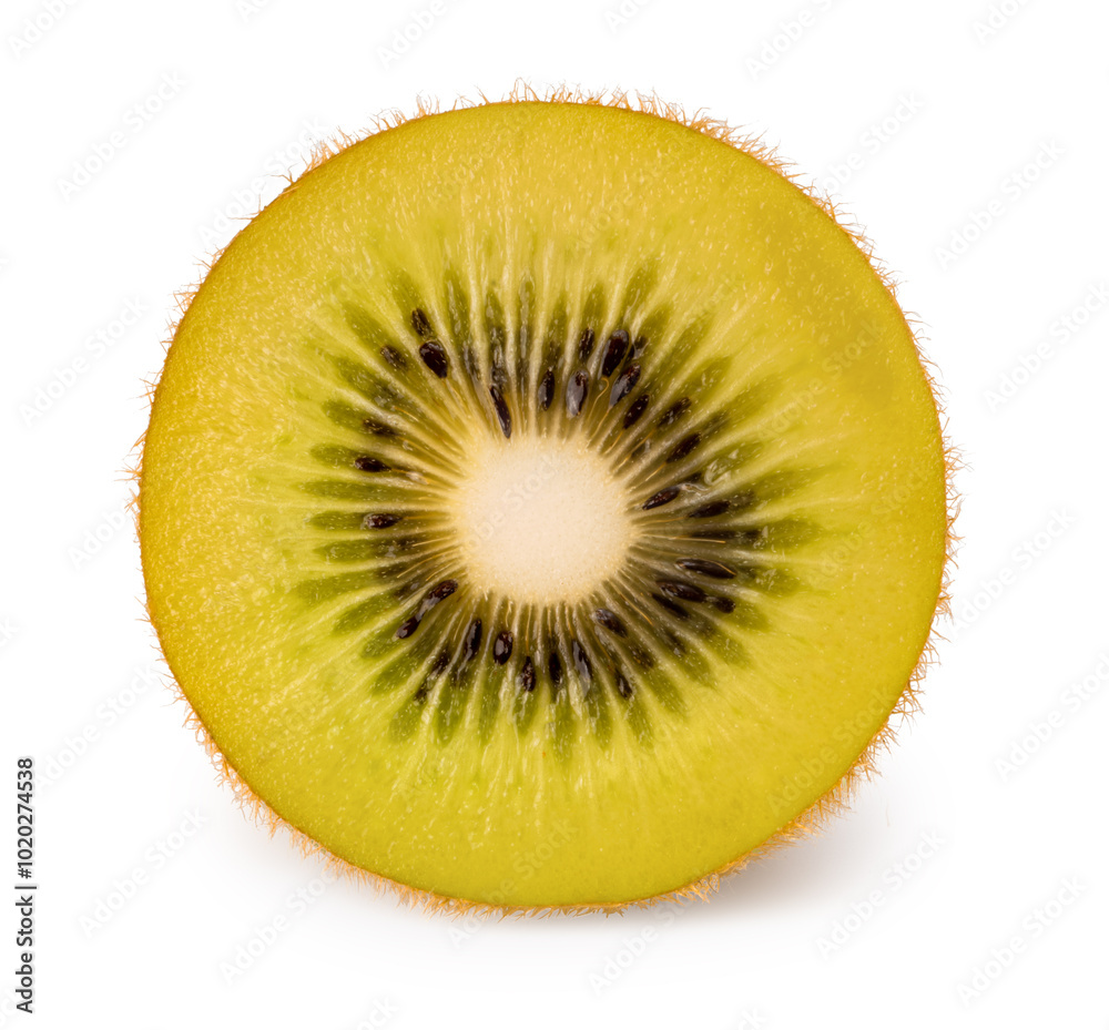 Kiwi fruit on White background, Golden Kiwi isolate on white with clipping path. Kiwi fruit on White background, Golden Kiwi isolate on white with clipping path.