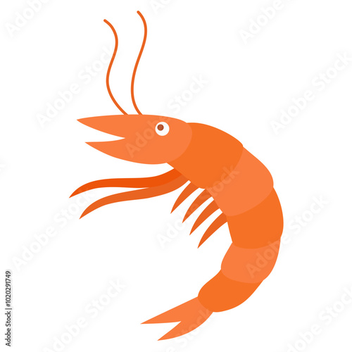 shrimp seafood illustration
