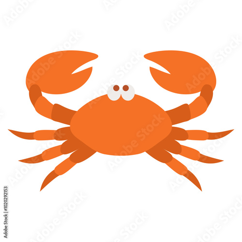 crab crustacean animal