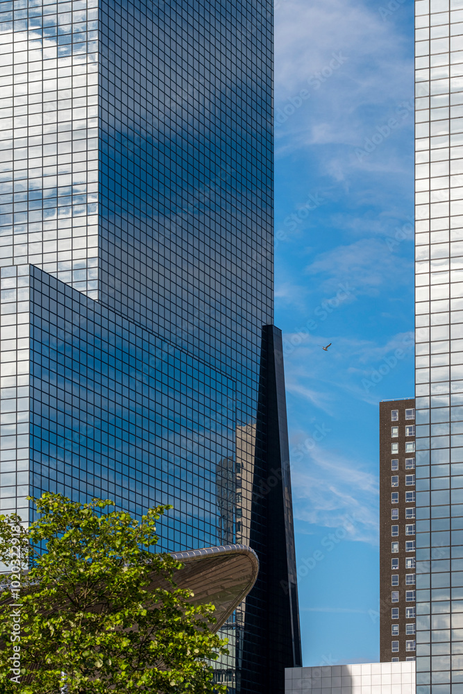 View of This image shows towering glass skyscrapers reflecting the sky ...
