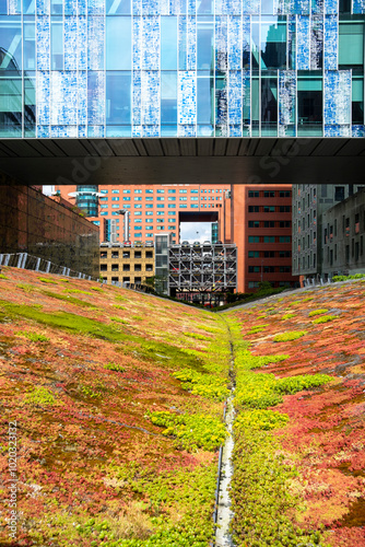 A vibrant, colorful rooftop garden with diverse plant life extends amidst sleek modern office buildings, representing the fusion of nature and contemporary architecture in Rotterdam photo