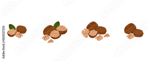 Cartoon walnut. Nuts in shell and peeled pieces with leaf. Healthy food. Diet snack. Organic vegetarian element. Whole and half. Natural plant ingredient packaging design. Vector isolated illustration