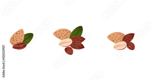 Cartoon almond. Nuts in shell and peeled pieces. Healthy food. Diet snack. Organic vegetarian element. Whole and half. Natural plant ingredient packaging design vector isolated illustration