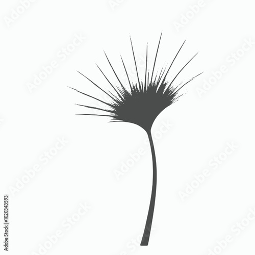 A black and white illustration of a large leaf with a fan-like shape