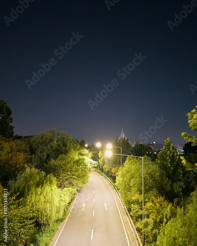 Photography road view at night, with street lights