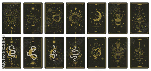 Tarot cards featuring intricate celestial and mystical designs arranged neatly. The cards highlight symbols like the moon, sun, and snakes, perfect for divination.
