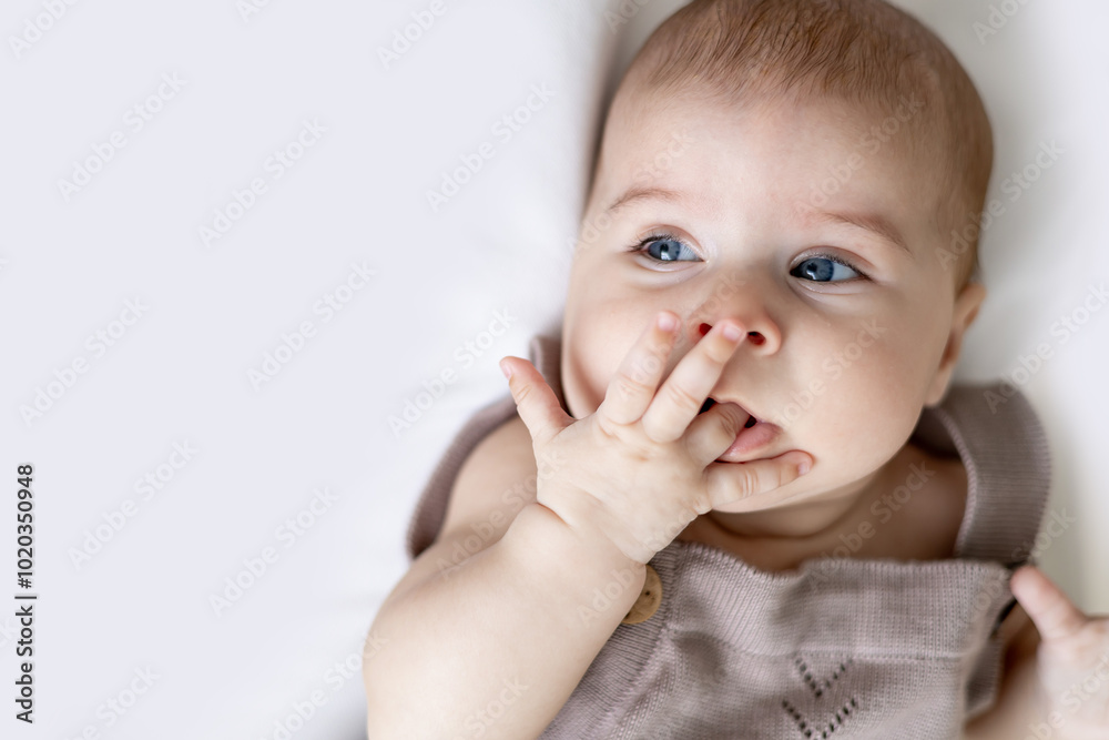 a baby girl of six months sucks her fingers lying in her mother's arms, portrait of a cute little child a baby girl of six months sucks her fingers lying in her mother's arms, portrait of a cute little child