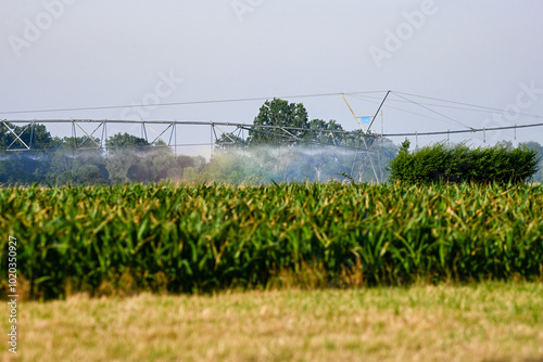 L'Irrigation intensive en action : un arc-en-ciel vibrant au cœur de la culture industriel photo