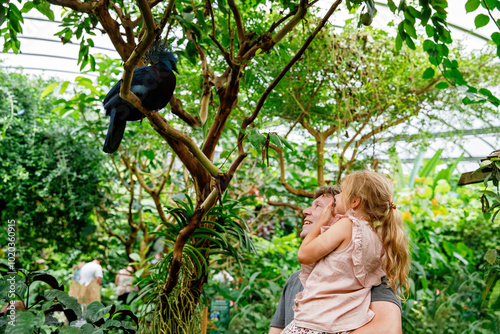 Father with small daughter, cute preschool girl watching birds. Happy family, man and little child in birds observatory, looking on western crowned pigeon bird. Family weekend activity photo