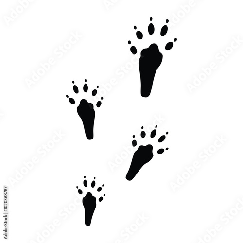 squirrel vector footprint icon