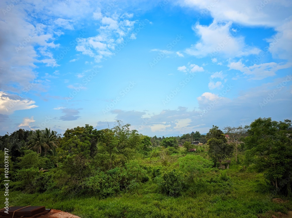 The photo depicts a serene landscape with a clear blue sky and fluffy white clouds. In the foreground, there is a lush green forest with tall trees and dense foliage. The photo depicts a serene landscape with a clear blue sky and fluffy white clouds. In the foreground, there is a lush green forest with tall trees and dense foliage.