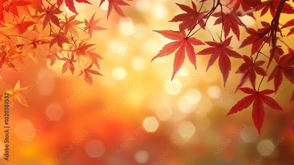 Wooden Table with Orange Leaves: A wooden table adorned with orange autumn leaves, with a blurred autumn background. Wooden Table with Orange Leaves: A wooden table adorned with orange autumn leaves, with a blurred autumn background.