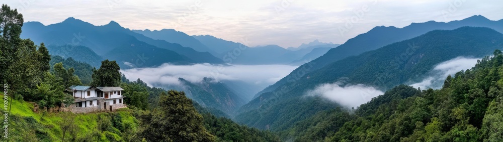 Panoramic View of Misty Mountains and Dense Pine Forest Captured in High-Contrast Style with Mist Creating Ethereal Atmosphere