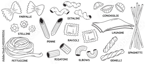 Various italian pasta types icons. Noodles different, lasagne, spaghetti and penne. Simple black and white traditional macaroni of different shapes and names.  Flat vector illustration. 