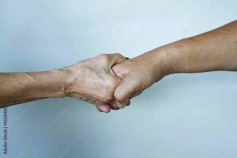 Fototapeta premium Two hands holding a handshake, symbolizing a successful partnership between two people