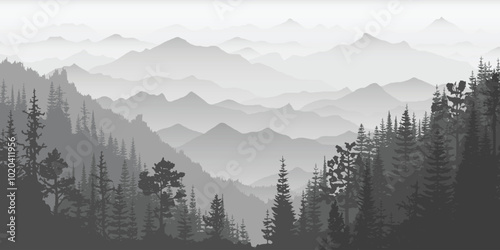 Sunrise in the mountains, wild forested gorge, misty silhouettes of ridges, black and white landscape