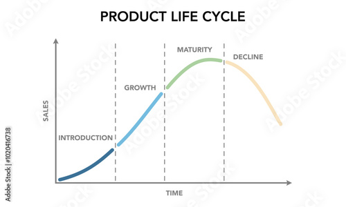 A product or business lifecycle typically consists of four stages: introduction, growth, maturity, and decline. Understanding these stages is crucial for developing effective marketing strategies.