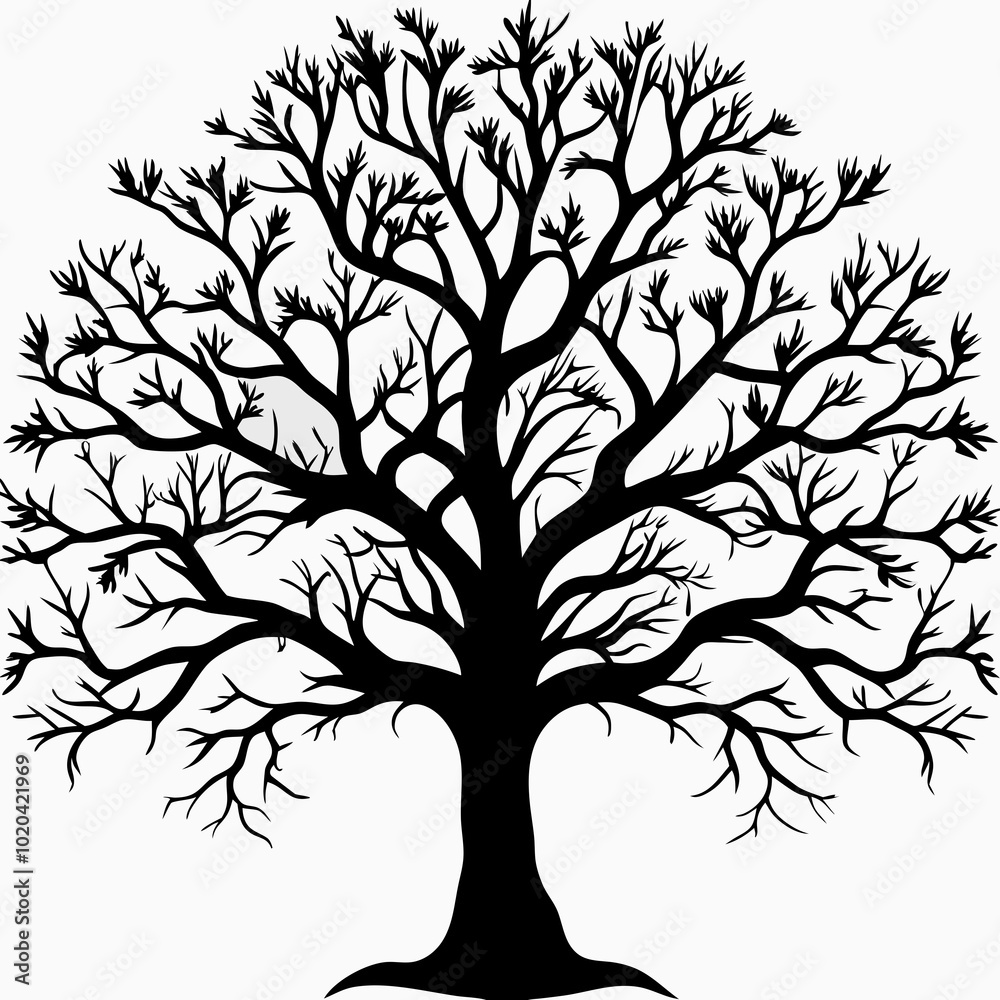 Obraz premium red-mulberry-tree-silhouette