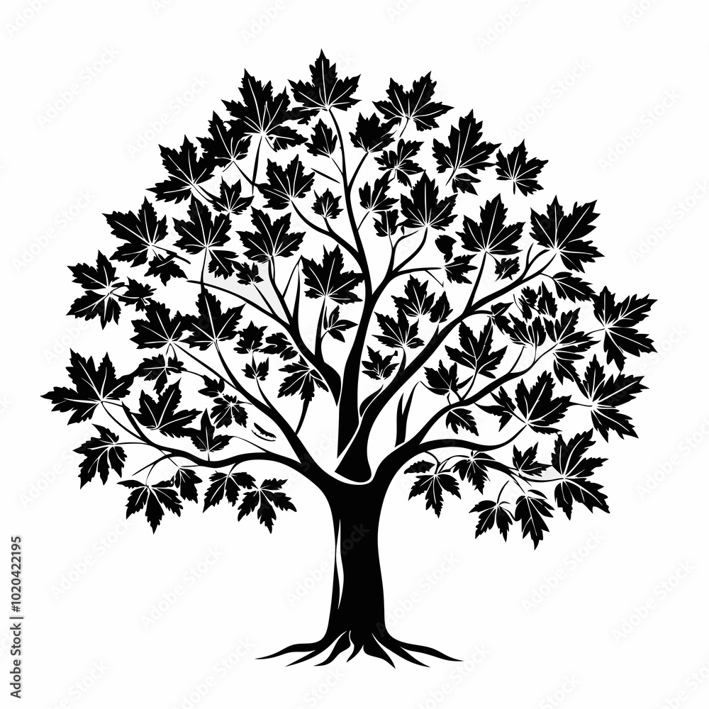 Fototapeta premium sweetgum-tree-silhouette