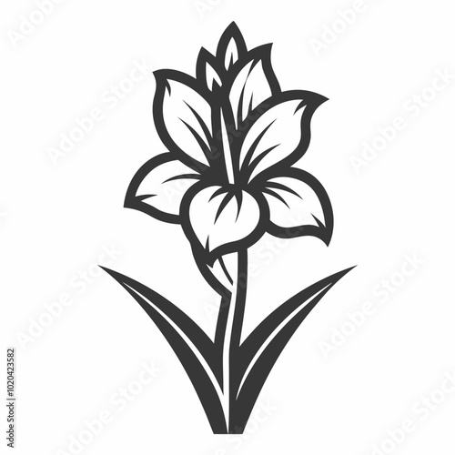 Abstract Gladiolus Flower Line Art Silhouette